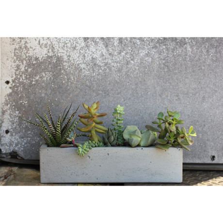 Concrete Windowsill Planter // 12"