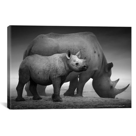 Black Rhino Calf + Cow (18"W x 26"H x 0.75"D)