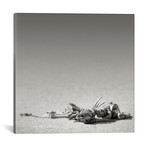 Eland Skeleton In Desert (18"W x 18"H x 0.75"D)