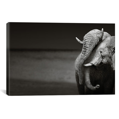 Elephants Interacting (18"W x 26"H x 0.75"D)