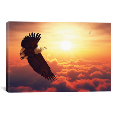 Fish Eagle Flying Above Clouds (26"W x 18"H x 0.75"D)
