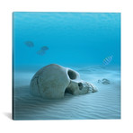 Skull On Sandy Ocean Bottom With Small Fish Cleaning Some Bones // Johan Swanepoel (12"W x 12"H x 0.75"D)