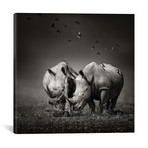 Two Rhinoceros With Birds // Black + White (18"W x 18"H x 0.75"D)