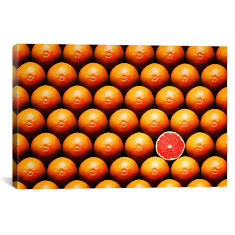 Sliced Grapefruit Between Group (18"W x 26"H x 0.75"D)