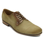 Rossano Derby // Olive (Euro: 39)