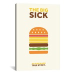 The Big Sick // Minimalist Poster (26"W x 18"H x 0.75"D)