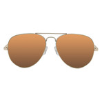 Bonila Sunglasses // Shiny Gold + Brown (Shiny Gold, Brown)