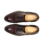 Giotto Dress Shoe // Bordeaux (UK: 11)