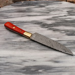 Damascus Kitchen Knife // FRB-301144