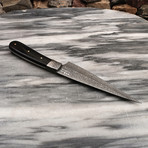 Damascus Fillet Knife // FRB-301152