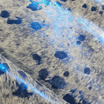 Devore // Off-White with Blue