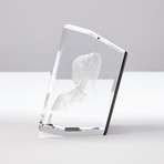 3D BBCrystal // Girl With A Pearl Earring (Crystal Only)