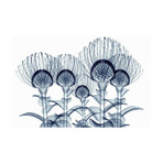 Nodding Pincushions // Frameless Free Floating Tempered Glass Panel