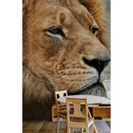 Majestic Lion Head (6' x 8')