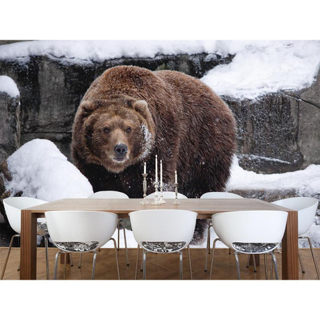 Brown Bear In Snow (6' x 4')