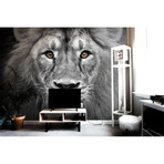 Lion Head Wall Mural (6' x 4')