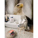 Bald Eagle (6' x 4')