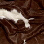 Brown White // Regular