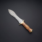 Damascus Fish Dagger // DGR-999