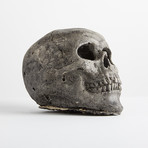 Ceramic Gray Skull // Mini