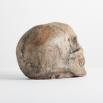 Ceramic Aged Skull // Mini