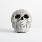 Ceramic Human Skull // Mini