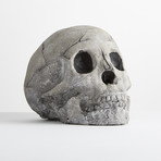 Ceramic Human Skull // One-Piece