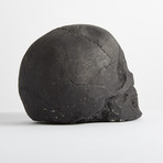 Ceramic Tarred Skull // One-Piece