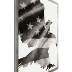 Patriot Eagle // Silver Frame (22"W x 32"H x 1"D)