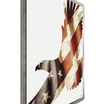 Freedom Eagle // Silver Frame (48"W x 19"H x 1"D)