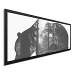 Grizzly Bear Forest // Black Frame (48"W x 19"H x 1"D)