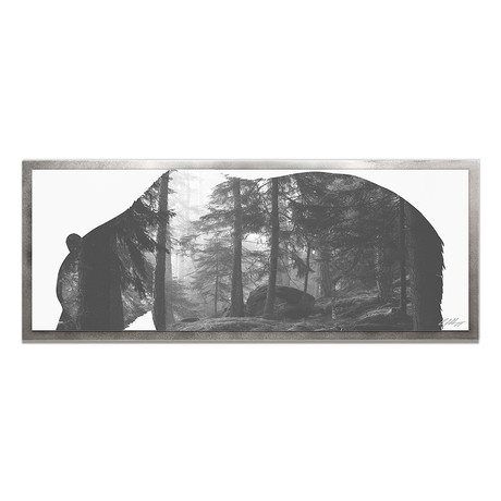 Grizzly Bear Forest // Silver Frame (48"W x 19"H x 1"D)