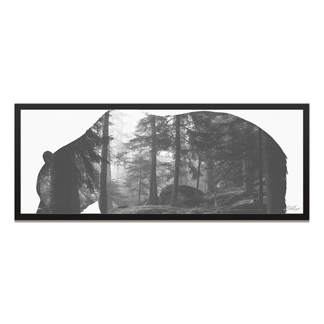 Grizzly Bear Forest // Black Frame (48"W x 19"H x 1"D)