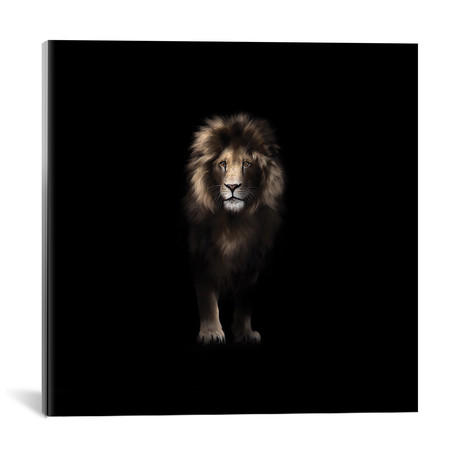 Shadows Lion // Helen Clark (18"W x 18"H x 0.75"D)