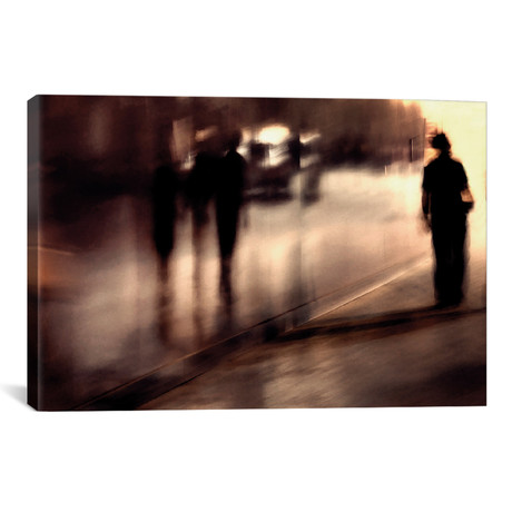 Lost Shadows // Mirela Momanu (26"W x 18"H x 0.75"D)