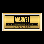 Stan Lee // Signed Photo // Custom Frame 2
