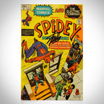 Spidey Super Stories #1 // Stan Lee Signed Comic Book (Signed Comic Book Only)