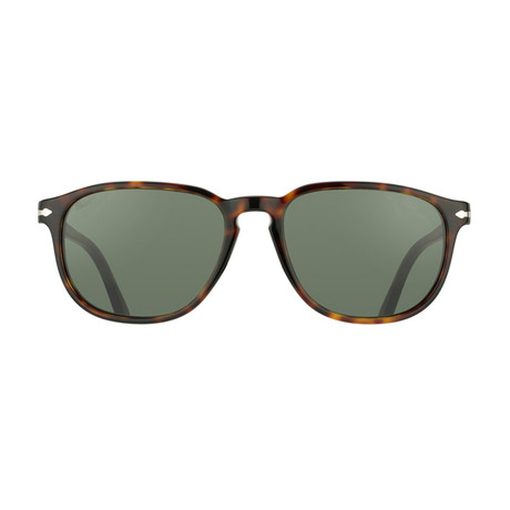 Classic 3019 Sunglasses // Dark Havana + Gray