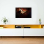 Dressage, A Horses View (26"W x 18"H x 0.75"D)