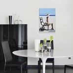 Maintaining A Graceful Repose (26"W x 18"H x 0.75"D)