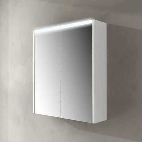 Double Mirror Bathroom Medicine Cabinet + Horizontal LED Light Strip