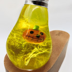Pumpkin Led Lamp // Gift Box