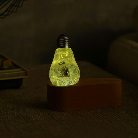Skull Led Lamp // Gift Box