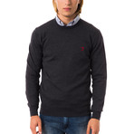 Diego Sweater // Dark Gray (L)