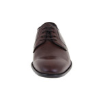 Edmond Derby Shoe // Brown (Euro: 44)