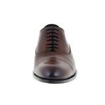 Maximo Oxford Shoe // Brown (Euro: 46)