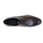Ahmed Derby Shoe // Brown (Euro: 44)