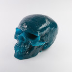 Worlds Largest Gummy Skull // Blue Raspberry