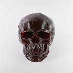 Worlds Largest Gummy Skull // Cola