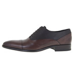 Clay Oxford Shoe // Brown (Euro: 40)
